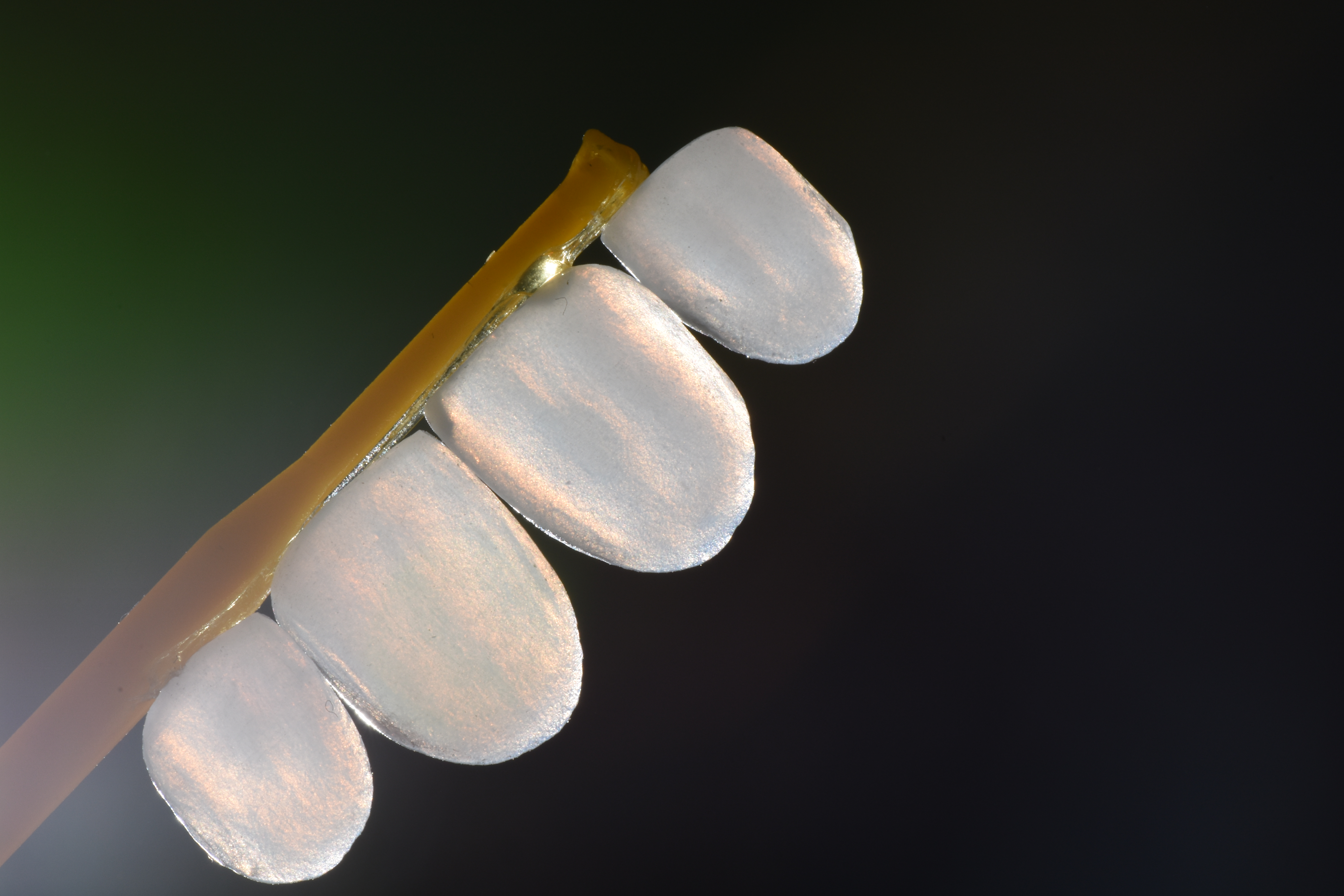 精品人妻无码一区二区三区换脸