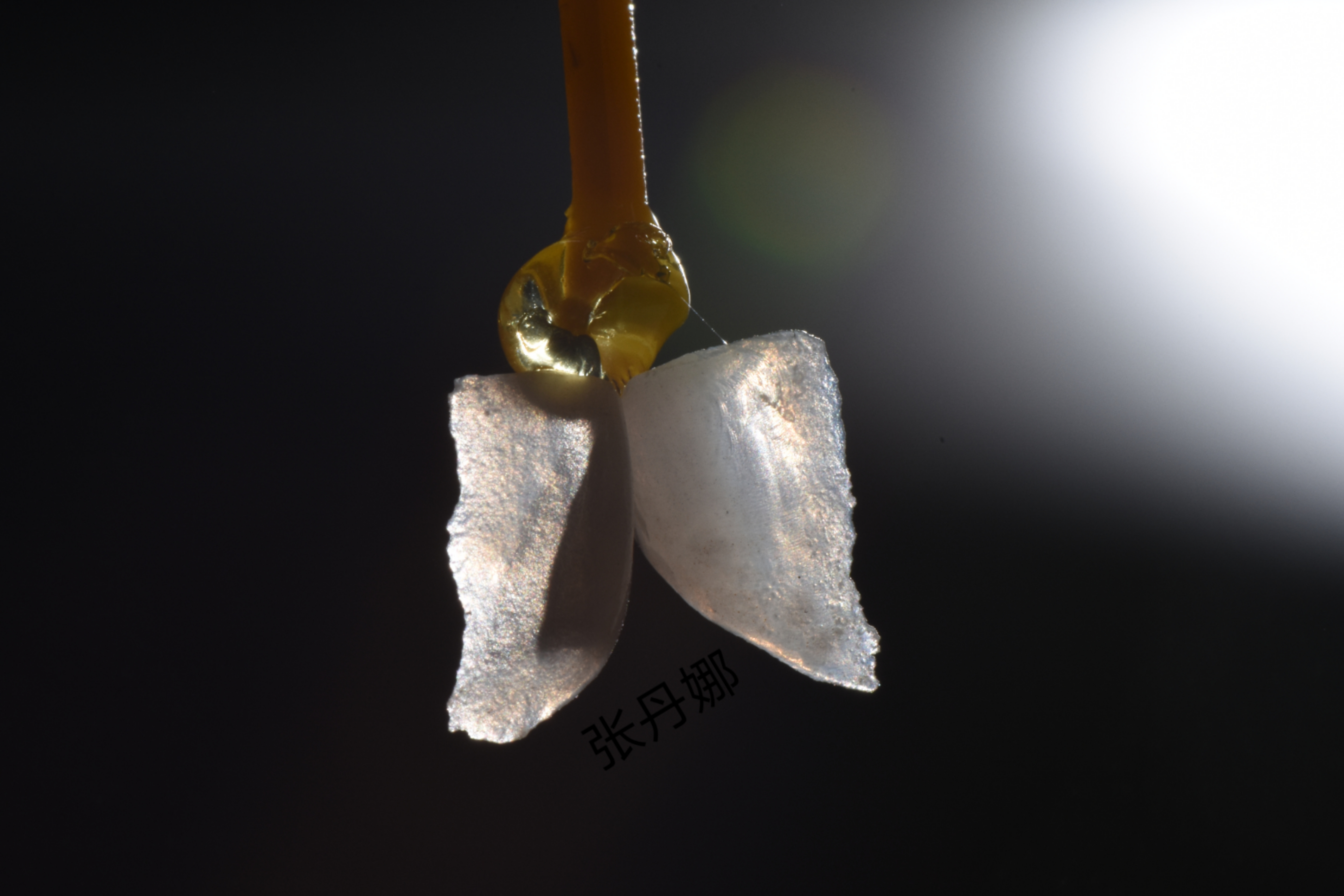 精品人妻无码一区二区三区换脸